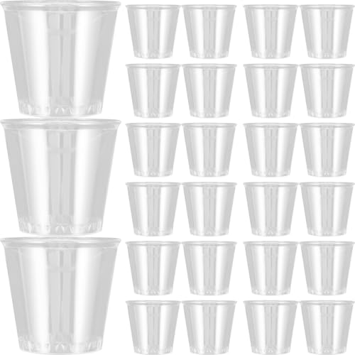 FESTFENDS 100ĝĈJbv ^vX`bNp~jOX prp[eB[pĝăNAJbv