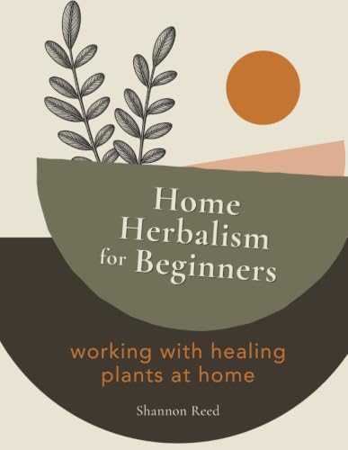 Home Herbalism for Beginners: Working with Healing Plants at Home image 2