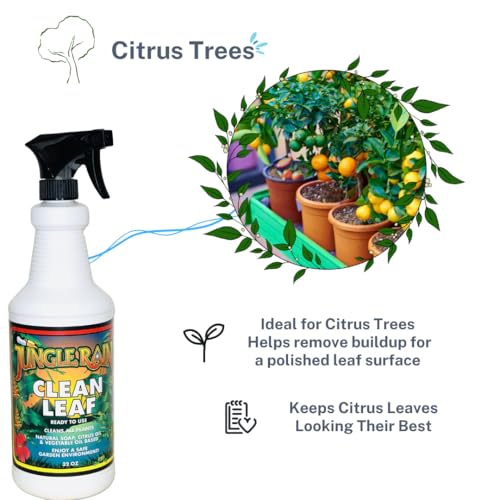 Limpiador Natural para Hojas Jungle Rain Clean Leaf 32 oz miniatura 6
