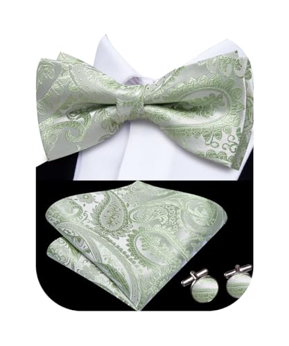 Image of Hi-Tie Bow Tie Men Pre Tied Bowtie Pocket Square Cufflinks Lapel Pin Formal Wedding Bow Ties for Men Party Tuxedo Bowtie Set,Light Green Paisley Floral