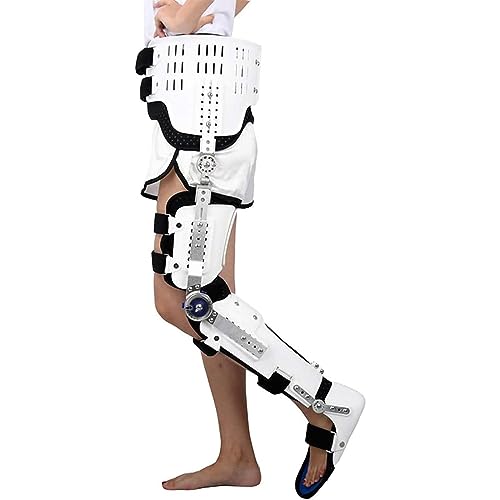 `OȗpqWtAlpROMGT|[gu[XA/G񑫊֐ߌŒu[XArȂ邱Ƃł܂,L