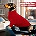 Queenmore Hundepullover Dackel, Strick & Wärme, Große Pullover Winter für Katzen, Chihuahua, Yorkshire, Rot, M