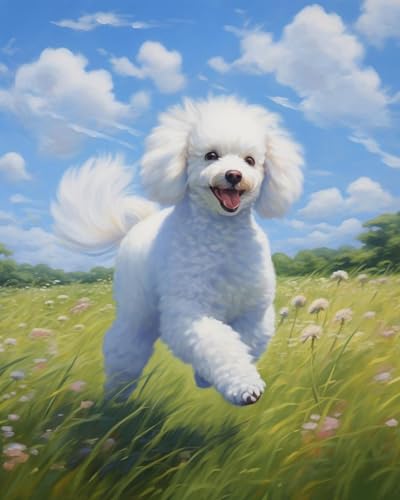 ZMHZMY Kits de pintura por números, caniche sobre hierba, kit de pintura por números para adultos, principiantes, pintura al óleo sobre lienzo, 40 x 50 cm sin marco