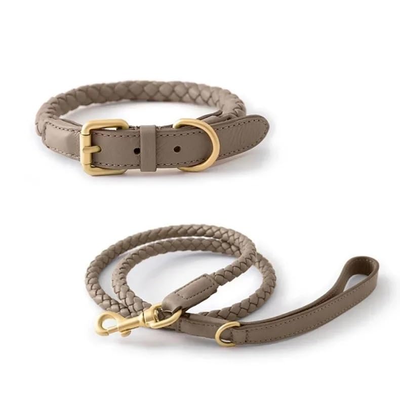 Collier pour chien cuir durable orange réglable S - 2