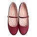 Stunner Women's Mary Jane Shoes Fashion Round Toe Ballet Flats Comfortable Leather Flats Soft Ankle Strap Flats Wine red 41(9)