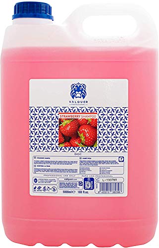 Válquer Champú Especial de Fresa para peluquería. Champú para profesional-5000ML