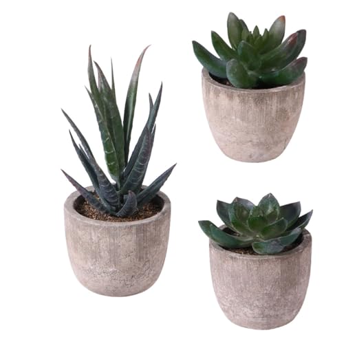 OUNONA 3Pcs Artificial Succulent Plants Potted, Artificial Plants Indoor, Faux Succulents Assorted Decorative Faux Potted Fake Cactus Cacti,Aesthetic Mini Decor for Office Desk Decor by OUNONA - Used condition - Image 9