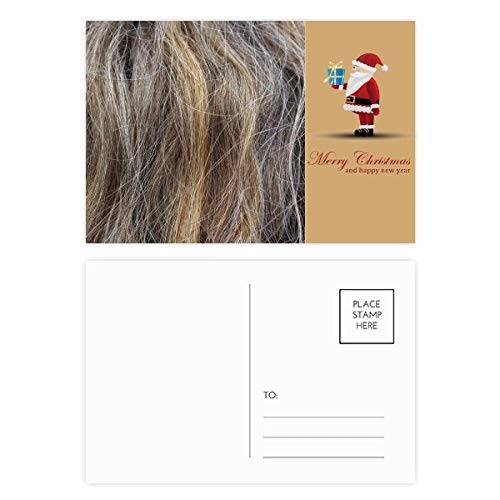 Cartes postales cheveux longs et bouclés pour mot doux bohème