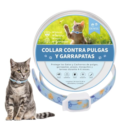 DEWEL Collar Antiparasitarios Perros, Collar contra Pulgas, Garrapatas y Mosquitos, Collar Antipulgas para Perros y Gatos 6-8 Meses, Collar para Perros y Gatos (Azul, S)