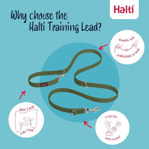HALTI Training Leash in use with dog harness