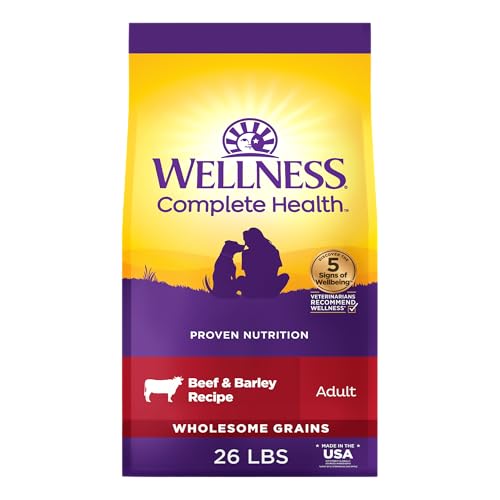 Image of Wellness Complete Health Adult Dry Dog Food, Wholesome Grain Kibble, Natural, Beef and Barley Recipe, 26 lb Bag