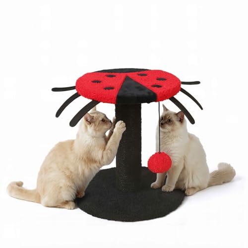 Rascador para gatos CAPHAUS estilo Mariquita 9x9x10 in miniatura 1