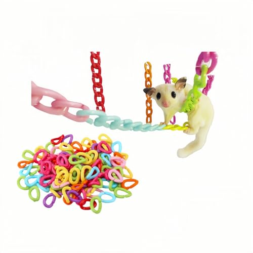 tNK  `F[O 100 Zbg ݂艺 A g\ nX^[ CR p P[WV 􂢉\ ꖂłS