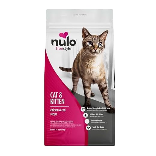 High Protein Cat & Kitten Food