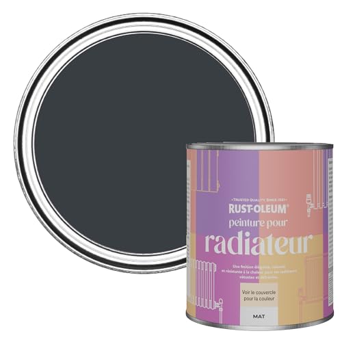 Rust-Oleum Peinture Grise Résistante à la chaleur pour Radiateur, Finition Mate - Anthracite (RAL 7016) 750ml
