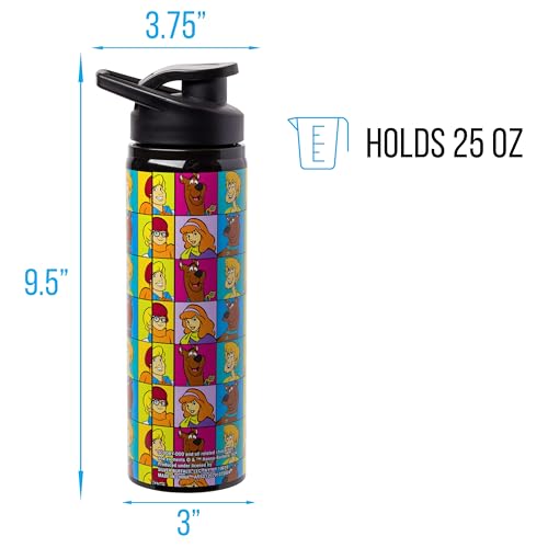 Image of Silver Buffalo Scooby-Doo Meddling Crew, Stainless Steel Water Bottle, 25oz | Kids, Fred, Velma, Shaggy and Daphne, 0.74 Liters