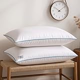 WOODWHITE Basic White Pillow Pack of 2 in 41 x 61 cm with Extra Focus Blue Border & Plush Microfibre Filling