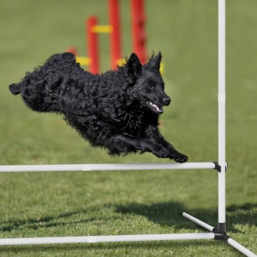 SUBTLETY 4 Stück Hürdenset Einstellbar Slalomstangen mit Tragtasche, Kunststoff Agility Ausrüstung für Hunde Hindernisse Trainingsstangen Set für Koordinations- & Geschwindigkeitstraining (Weiß)