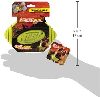 Nerf Dog Ridged Football Dog Toy with Interactive Squeaker, Lightweight, Durable and Water Resistant, 7 Inch Diameter for Medium/Large Breeds, Single Unit, Green image 6 of 6 B00EUV6SEM