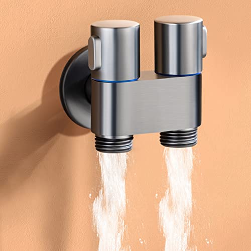 Robinet d'angle à double sortie et douchette bidet pour hygiène WC