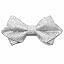 Pale Silver Darlene Paisley