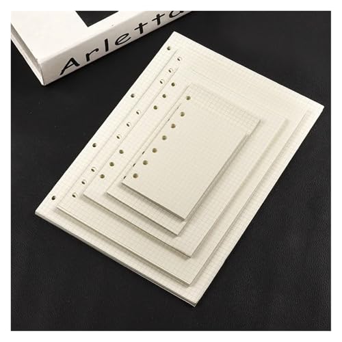 Carnet de notes B5 9 trous rechargeable et planificateur agenda à spirale