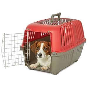 MidWest Homes for Pets Spree Travel Pet Carrier, Dog Carrier Features Easy Assembly and Not The Tedious Nut & Bolt Assembly of Competitors, Ideal for Small Dogs & Cats