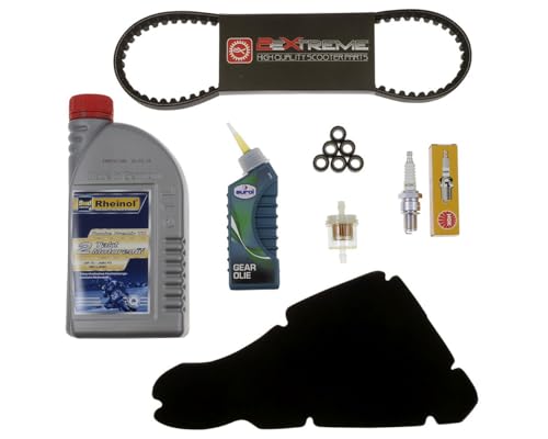 2EXTREME Inspektionsset groß Wartung 50 ccm 2Takt kompatibel für Piaggio NRG TPH GILERA Typhoon 94-09