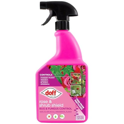 AMK® Doff 2 In 1 Rose & Shrub Shield 1L Protect All Roses Safe for Flowering Plants Prevents Controls Aphids Fungal Attack Feeds GardenGardening Formula Pest Prevention