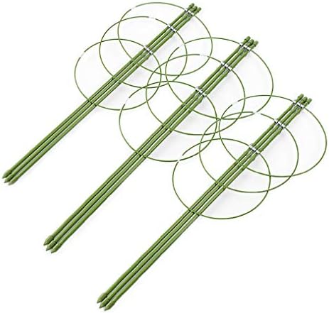 AHZZY Climbing Plants Support, Set of 3 Pack Ring Garden Trellis for Flowers Tomato Grow Cages Stand 24inches Height