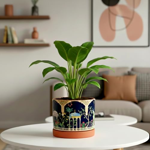 Image of Urban Plant Royal Riyasat 3D Terracotta Pot with Saucer (5 Inch) | Hand-Painted Mughal Art Design Planter | Decorative Indoor Plant Pot with Drainage Hole