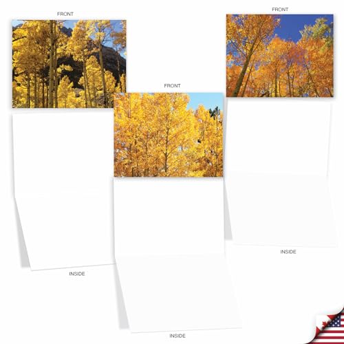 Image of The Best Card Company - 10 Beautiful Note Cards Blank (4 x 5.12 Inch) - Fall and Autumn Season, Boxed Notecard Assortment (Not Foil, Layered, or Sparkled) - Golden Foliage M1729BN