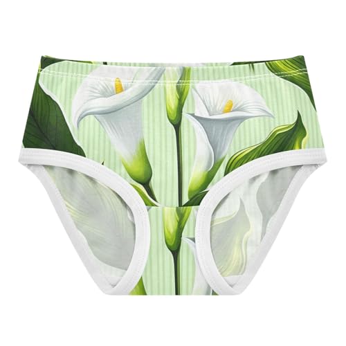 Durable Toddler Underwear Floral 2t Cotton Cute Panties Girl White Calla Lilies Green Striped Kids Briefs Undies