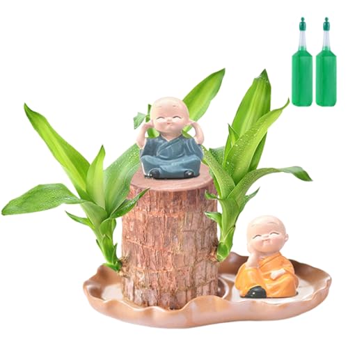 Eoixuqba Madera De La Suerte Brasileña 7x10cm Juego De Plantas De Madera De La Suerte Brasileño Plente De Casa De Maderas Fácil De Brasil - Suministros De Purificación De Aire con 2 Estatuas De Monje