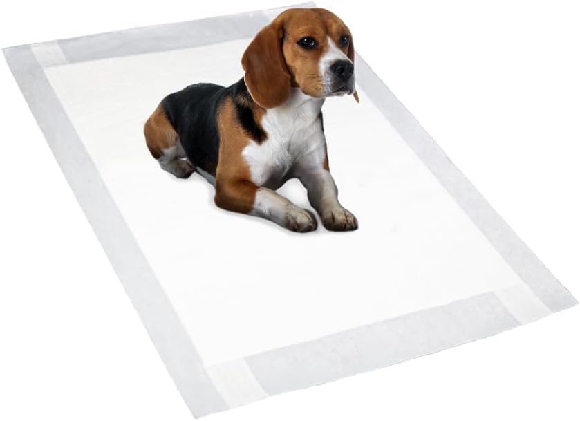 RAUF - TAPETE HIGIENICO PARA CÃES - RAUF NEUTRO 70cmx60cm 28und - Econômico RAUF - TAPETE HIGIENICO PARA CÃES - RAUF NEUTRO 70cmx60cm 28und - Econômico