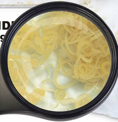 Lebendfutter SAHAWA Fischfutter Verschiedene Sorten zur Auswahl 45ml...