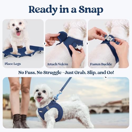 rabbitgoo Step-In Harness & Leash Set (Navy Blue, Small) — view 8
