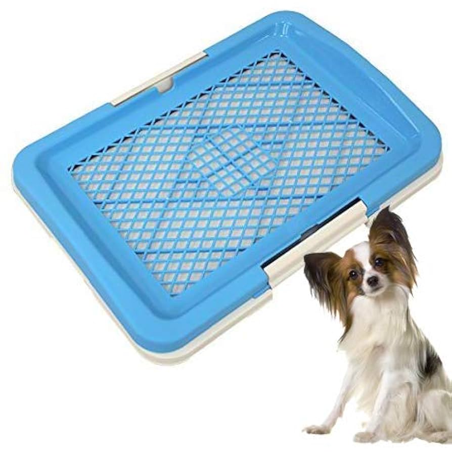 Amazon | WEIMALL 犬用トイレトレー レギュラー ふち漏れ防止