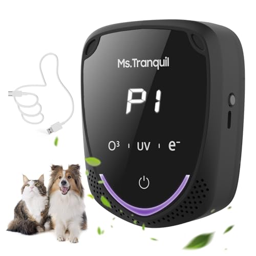 MS.Tranquil Rechargeable Air Ionizer
