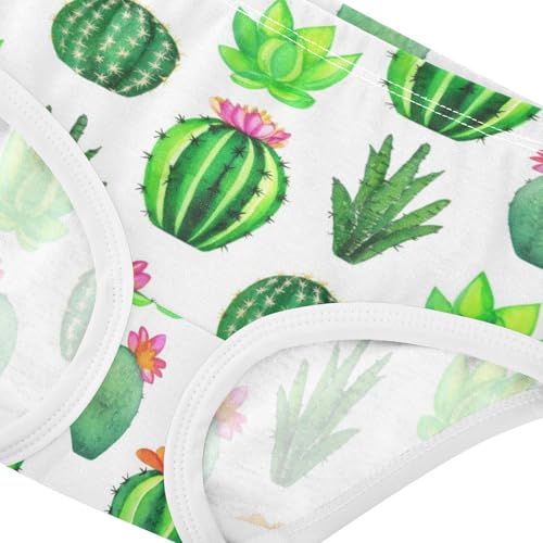 Animal Toddler Underwear Floral 2t Cotton Panties Little Girl Cacti Succulents White Undies Kids Briefs4