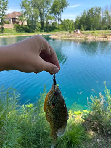 Valley Tieless Fishing Ez Fishing Kit, Tackle Box, Including Ez Tieless Hooks, Crank Baits, Spinner Baits, Lifelike Lures, Plastic Worms, Braided Fishing Line, Freshwater Fishing Gear #TOP5