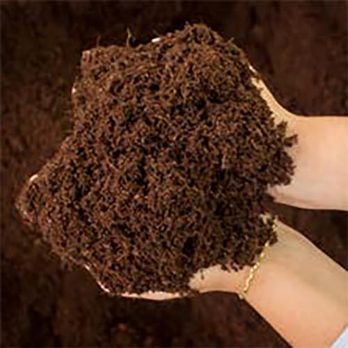 Kokostec Favorita Substrato Pó de Coco | 50 Litros