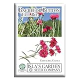 Tall Red Bachelor Button Seeds (Cornflower) – Non GMO & Heirloom Seeds by Isla’s Garden Seeds, Centaurea cyanus, Classic Cut Flowers for Beds & Borders, Easy Summer Blooms, Gift Idea