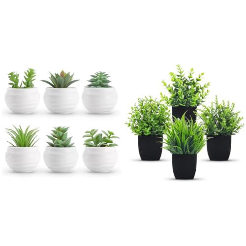 Der Rose Bundle of Set of 6 Succulents Plants and 4 Pack Small Fake Plants for Room Home Office Shelf Decor