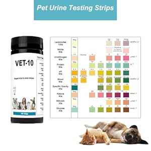 100-PCS-Urine-Test-Strips-10-in-1-UTI-Test-Kit-for-Cat-Dog-Pets-Diabetes-Urinalysis-Testing-Urinalysis-Reagent-Strips-Multi-Parameter-Urine-Test-Strip-for-Urinary-Tract-InfectionUTI - Cucciolini Doodles   100-PCS-Urine-Test-Strips-10-in-1-UTI-Test-Kit-for-Cat-Dog-Pets-Diabetes-Urinalysis-Testing-Urinalysis-Reagent-Strips-Multi-Parameter-Urine-Test-Strip-for-Urinary-Tract-InfectionUTI
