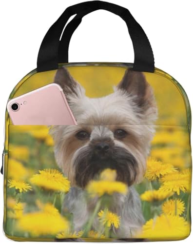 [NV[EeA ^|| ۗ⃉`obO ٓ 킢 e ܂ y RpNg fMA~V[g |Pbgt g[gobN