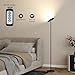 JOOFO Floor Lamp,30W/2400LM Sky LED Modern Torchiere 3 Color Temperatures Super Bright-Tall Standing Pole Light with Remote & Touch Control for Living Room,Bed Room,Office (Black)