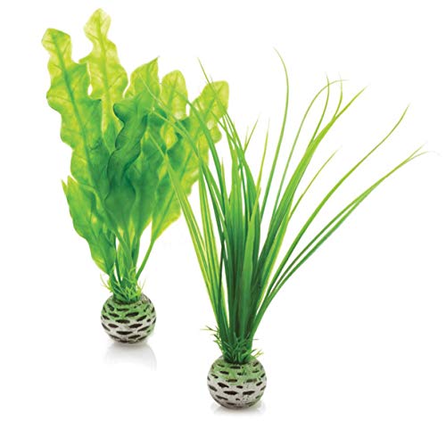 biOrb Easy Plant, Small, Pack of 2