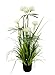 Produktbild Künstliches Papyrusgras im Topf, Busch, Gras, Künstliche Pflanze, Zimmerpflanzen, Ufergras, Feder-Gras, Dekogras, Kunstgras, künstliche Pflanzen, Solitärgras, Ziergras, Dekopflanze