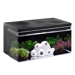 Harmony Aquarium Deluxe von Clairnara – All-in-One Süßwasser-Fischbecken mit LED-Licht, leiser Pumpe und patentierter Filtration – iF Design Award Gewinner